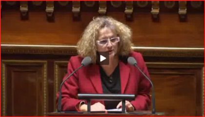 Françoise Laborde intervient dans le débat sur l'avenir de l'aviation civile au Sénat, le 4 décembre 20130